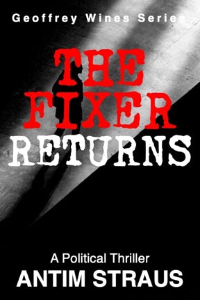 Book cover of The Fixer Returns by Antim Straus