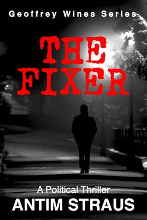 Book cover of The Fixer by Antim Straus